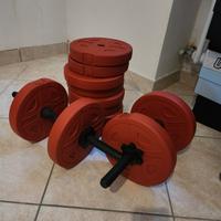 manubri ghisa 20 kg 