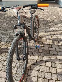 Mountain-bike OLMO CARMO