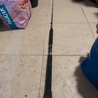 Canna traina 16 lb  duel anguilla carbon