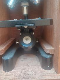 microscopio Paim vintage  50x - 1200x full set