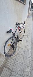 Bottecchia typhon
