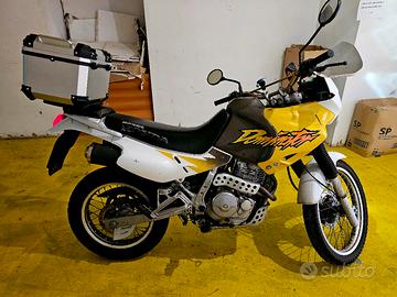 honda dominator 650cc 