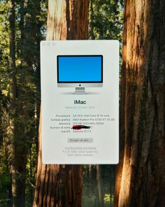 iMac 27" 5K i9 10core,128GB RAM,16GB Video,1TB