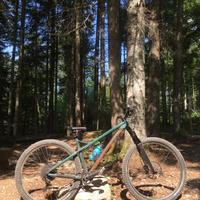 Mtb hardtail Dartmoor 29’