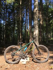 Mtb hardtail Dartmoor 29’