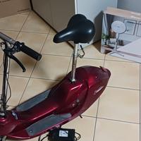 MONOPATTINO ELETTRICO