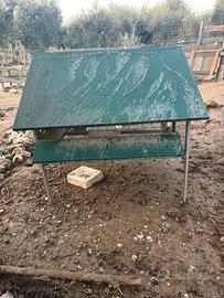 Gabbia per galline o pulcini