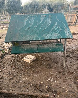 Gabbia per galline o pulcini