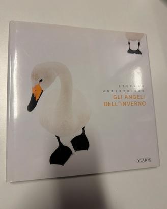 Gli angeli dell’inverno