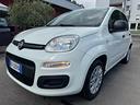 fiat-panda-1-2-easy