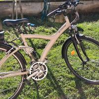 Bicicletta elettrica
