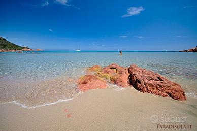 Vacanze in delle spiagge libere da favola