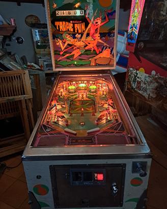 Flipper Tropic Fun 
