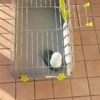 gabbia per piccoli animali