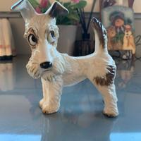 HUTSCHENREUTHER – Cucciolo di Fox Terrier
