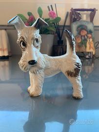 HUTSCHENREUTHER – Cucciolo di Fox Terrier