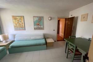 Olbia appartamento 2 vani 40 Mq