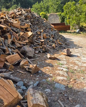 Legna di Ulivo da ardere