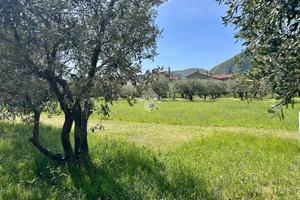 TER. RESIDENZIALE A POVE DEL GRAPPA
