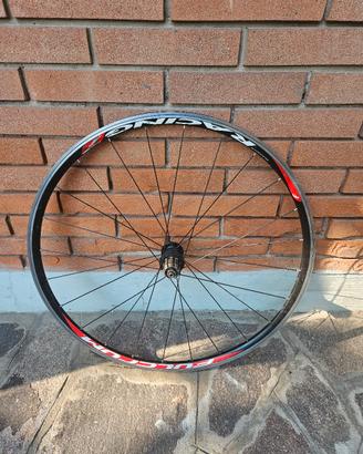 Ruota posteriore Fulcrum Racing 7