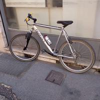 Bici Trekking Triestina