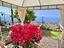 Immagine 8