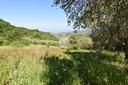 ter-agricolo-a-torchiara