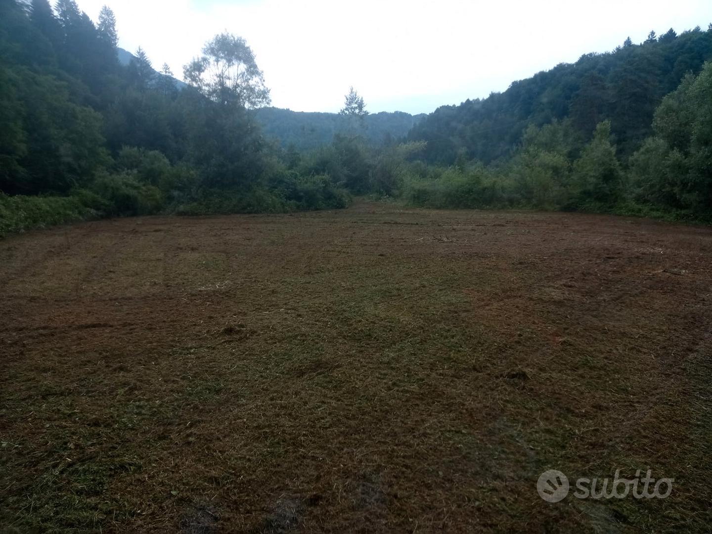 Terreno agricolo Raveo Carnia - Vista 4