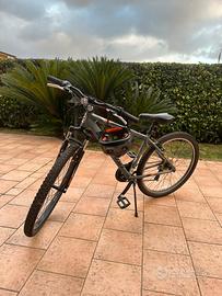 Bicicletta americana Schwinn