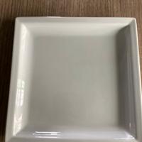 Piatti rettangolari piccoli