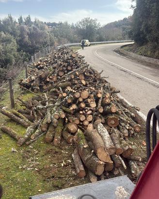 Legna da ardere d in Tonara