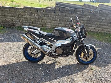 Aprilia tuono 1000