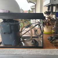 acquario juwel 60 litri