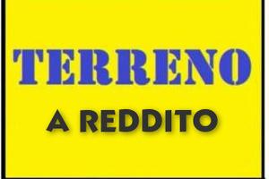 Area di 15.000 mq a reddito a mestre