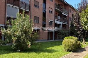 4 LOCALE LUMINOSO CON BOX
