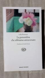 La penombra che abbiamo attraversato / Lalla Roman