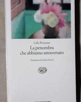 La penombra che abbiamo attraversato / Lalla Roman