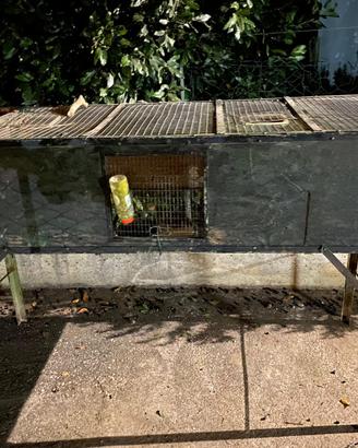 Gabbia recinto per animali