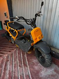 Honda zoomer