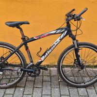 mountain bike Bottecchia 