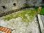 Immagine 13