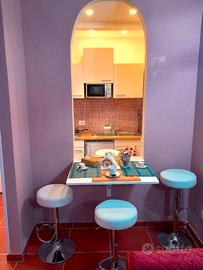 Bilocale appena ristrutturato