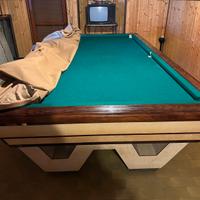 Biliardo professionale 