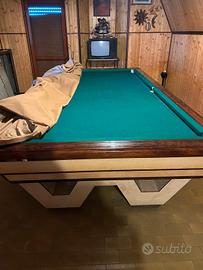Biliardo professionale 