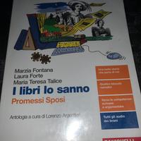 I libri Lo Sanno, Promessi Sposi