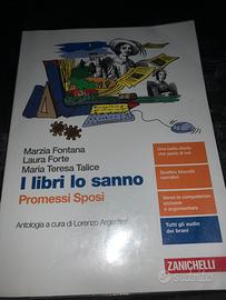 I libri Lo Sanno, Promessi Sposi