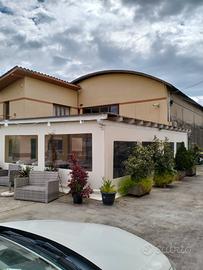 veranda legno lamellare bianco