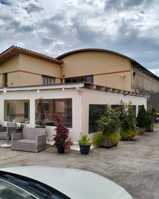 veranda legno lamellare bianco