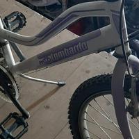 Bicicletta lombardo