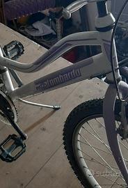 Bicicletta lombardo